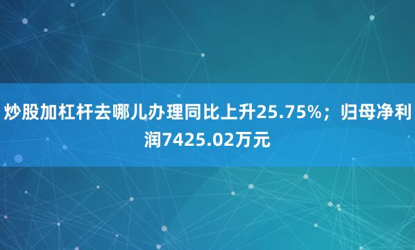 炒股加杠杆去哪儿办理同比上升25.75%；归母净利润7425.02万元